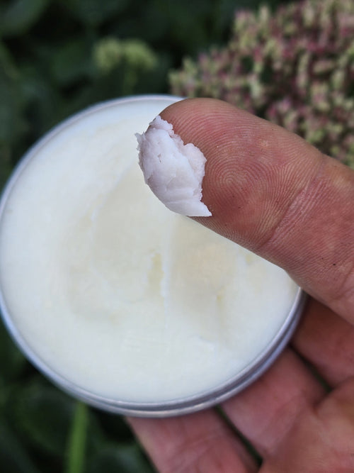 Antidote tin lid: A Tallow Company, Healing Botanical Terpenes