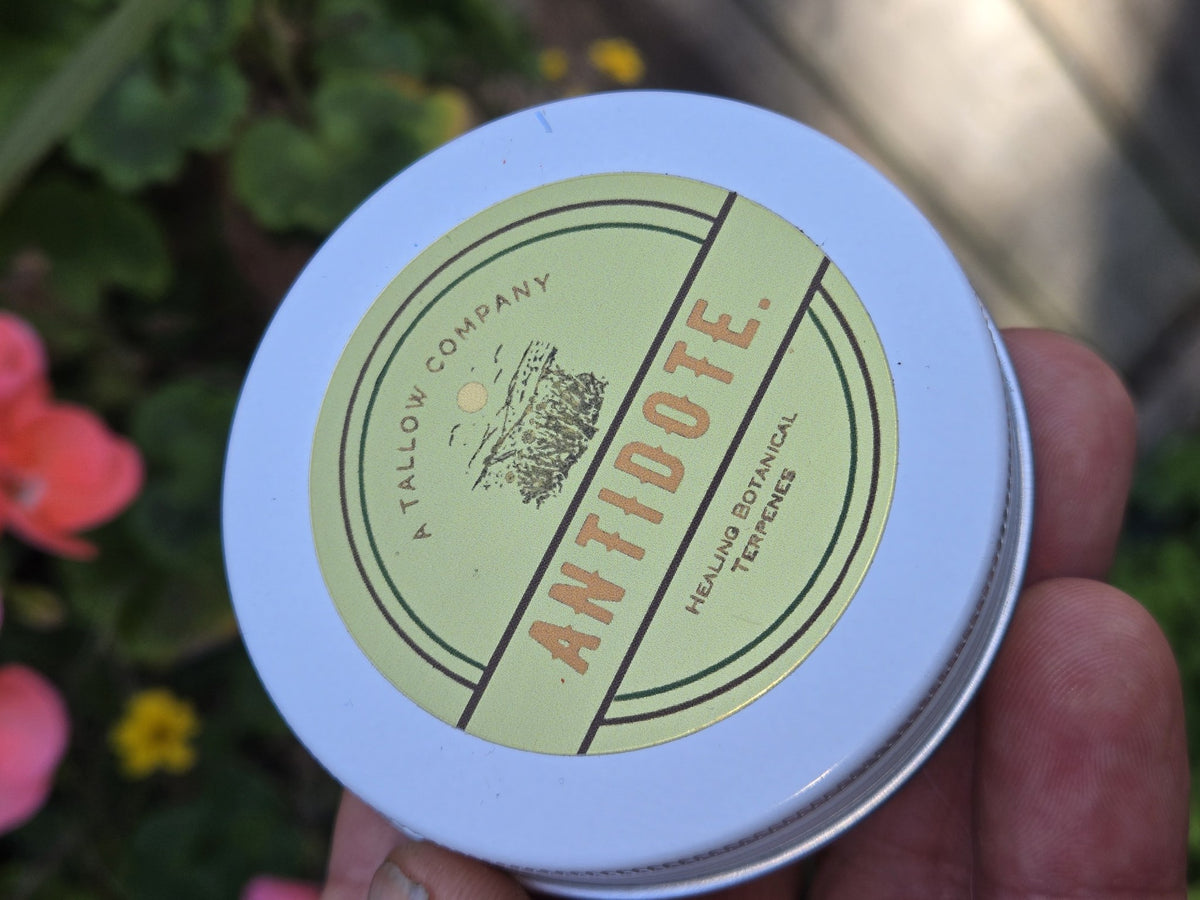 Whipped grass-fed tallow balm on a fingertip